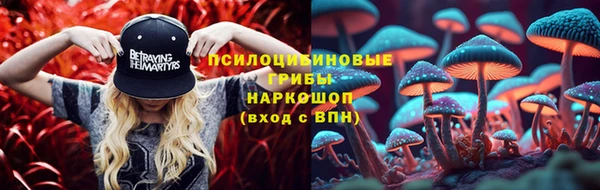 амф Ачинск
